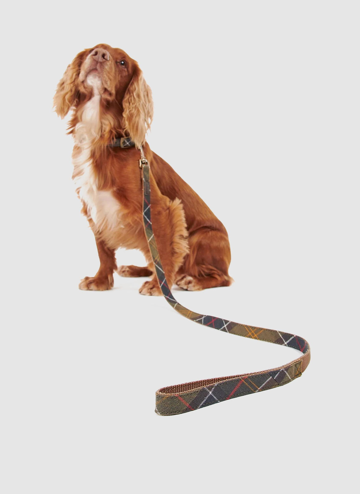 Tartan Webbing Dog Lead - Classic Tartan