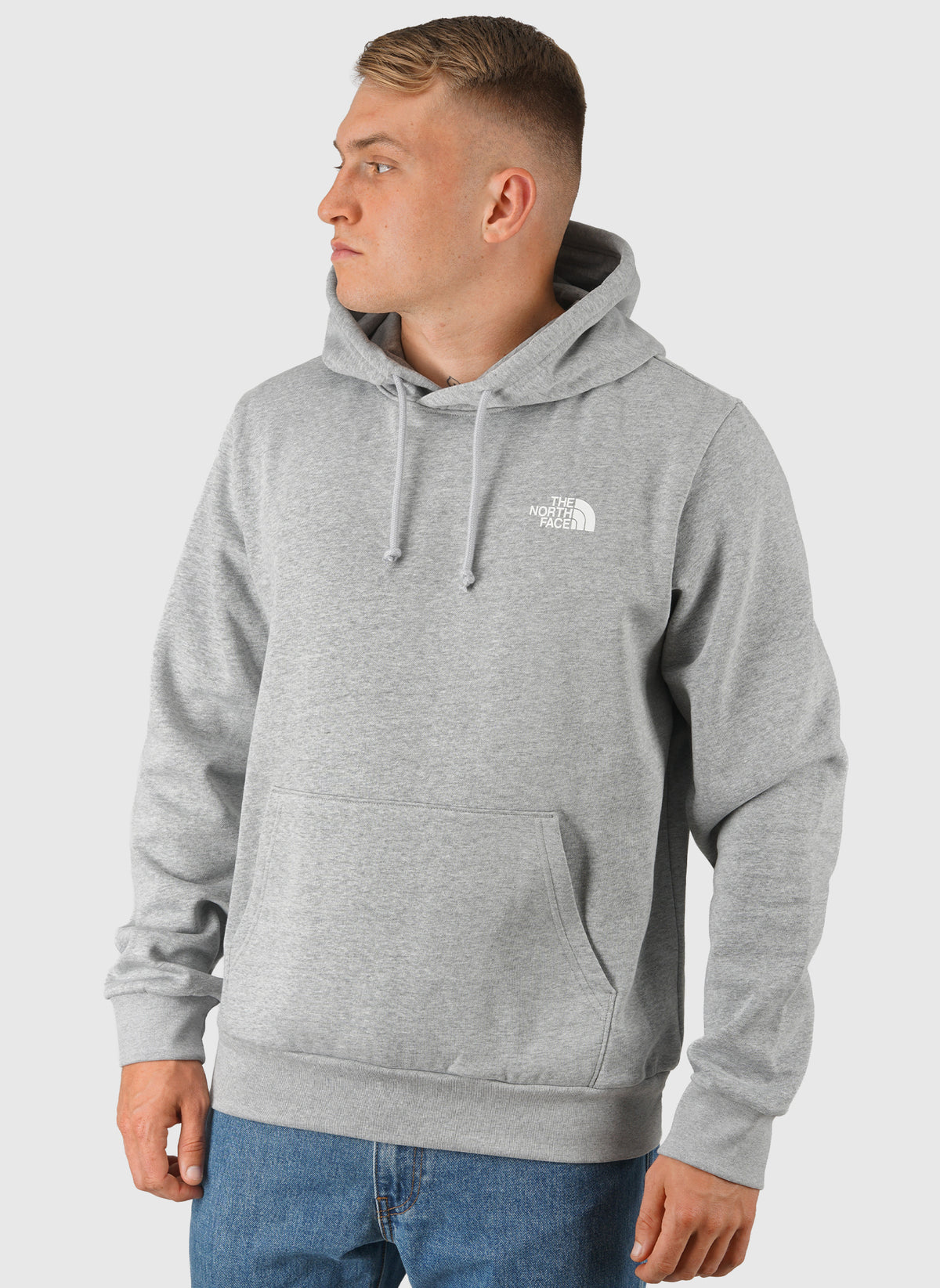Evolution Box NSE Hoodie - Pale Grey