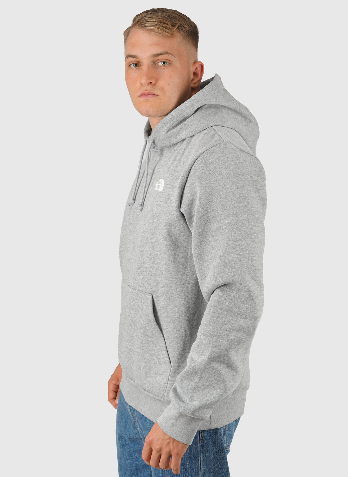 Evolution Box NSE Hoodie - Pale Grey