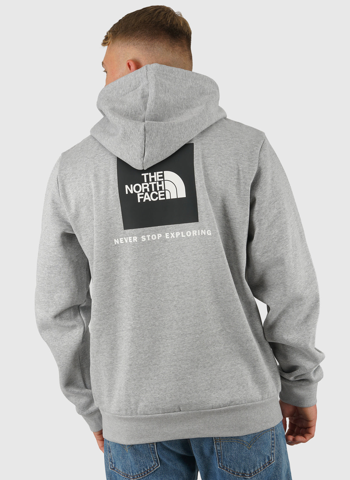 Evolution Box NSE Hoodie - Pale Grey