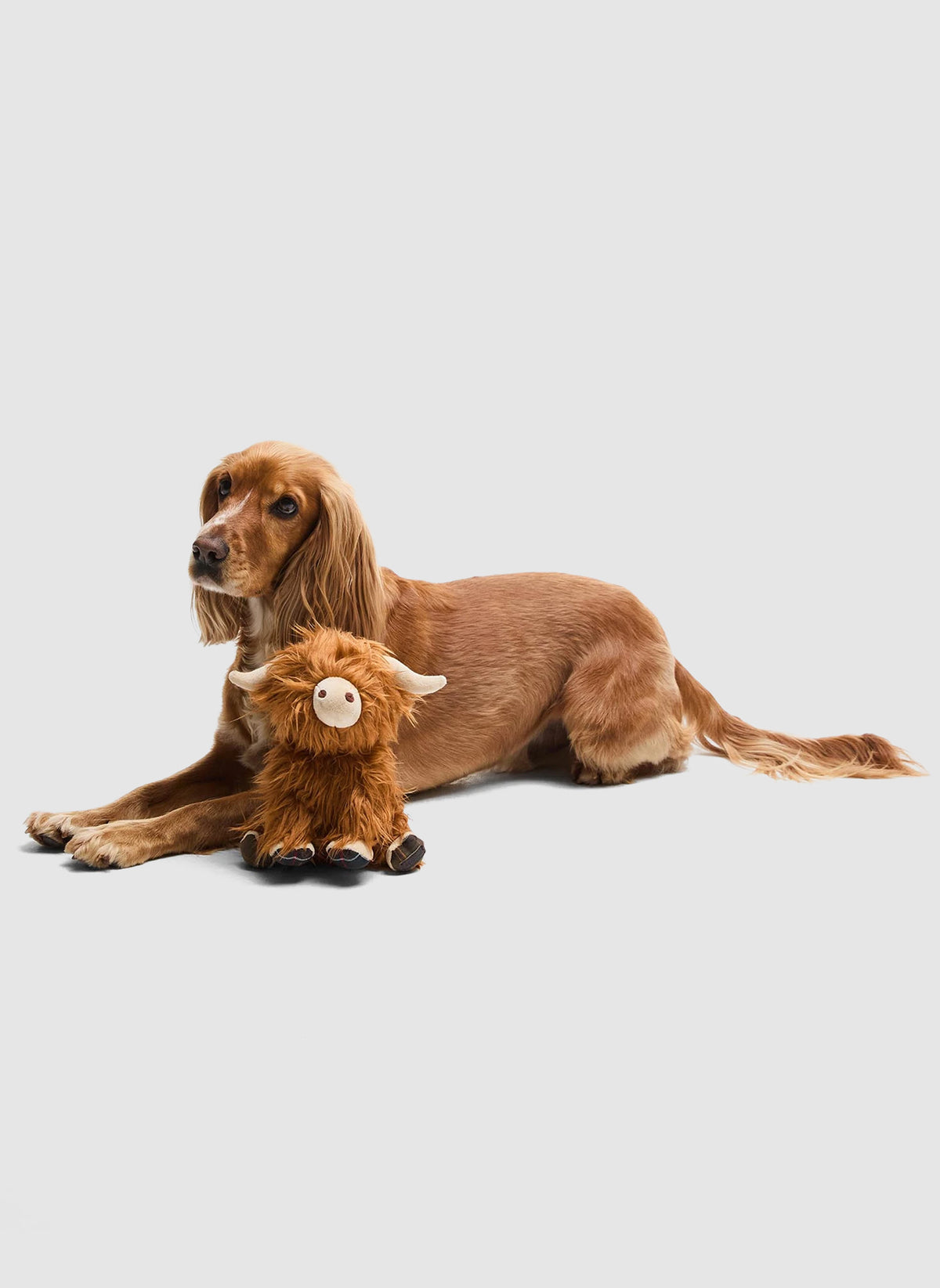 Dog Toy Highland Cow - Brown