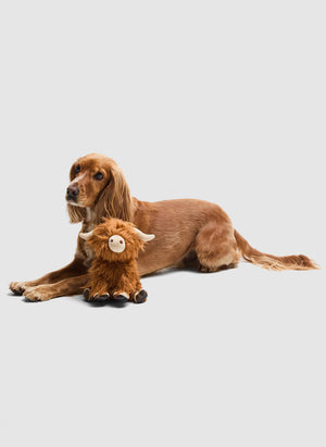 Dog Toy Highland Cow - Brown