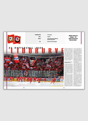 Bandencheck Nr. 2 - Eishockey Saisonrückblick 24/25