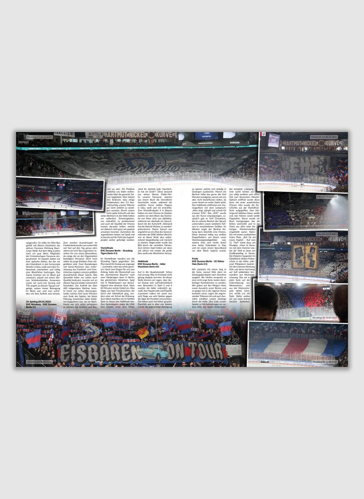 Bandencheck Nr. 2 - Eishockey Saisonrückblick 24/25