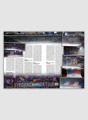 Bandencheck Nr. 2 - Eishockey Saisonrückblick 24/25