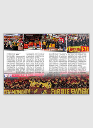 Bandencheck Nr. 2 - Eishockey Saisonrückblick 24/25