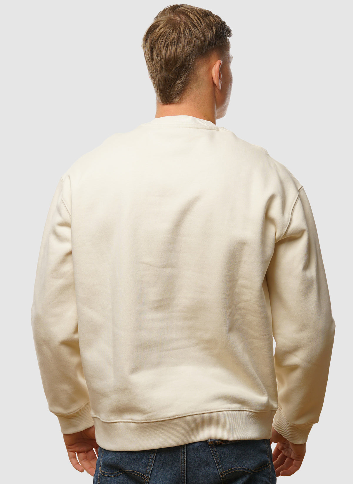 Script Brushback Crew Neck Sweatshirt - Foam