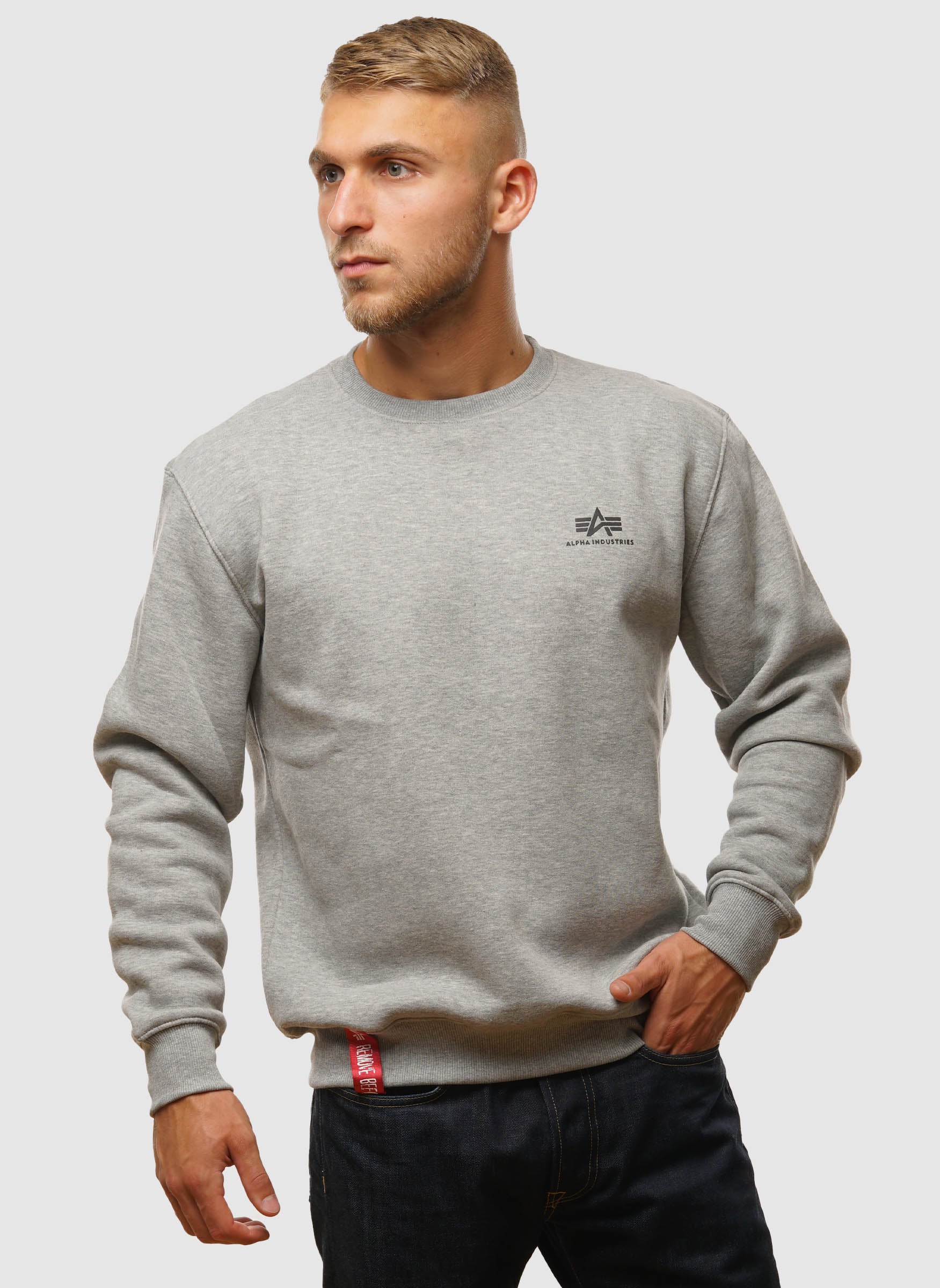 Alpha industries sweatshirt grey 2025