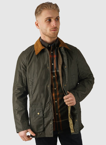 Light Weight Ashby - Archive Olive