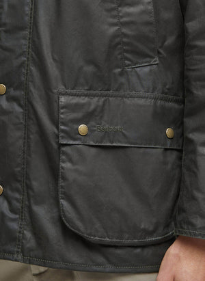 Light Weight Ashby - Archive Olive