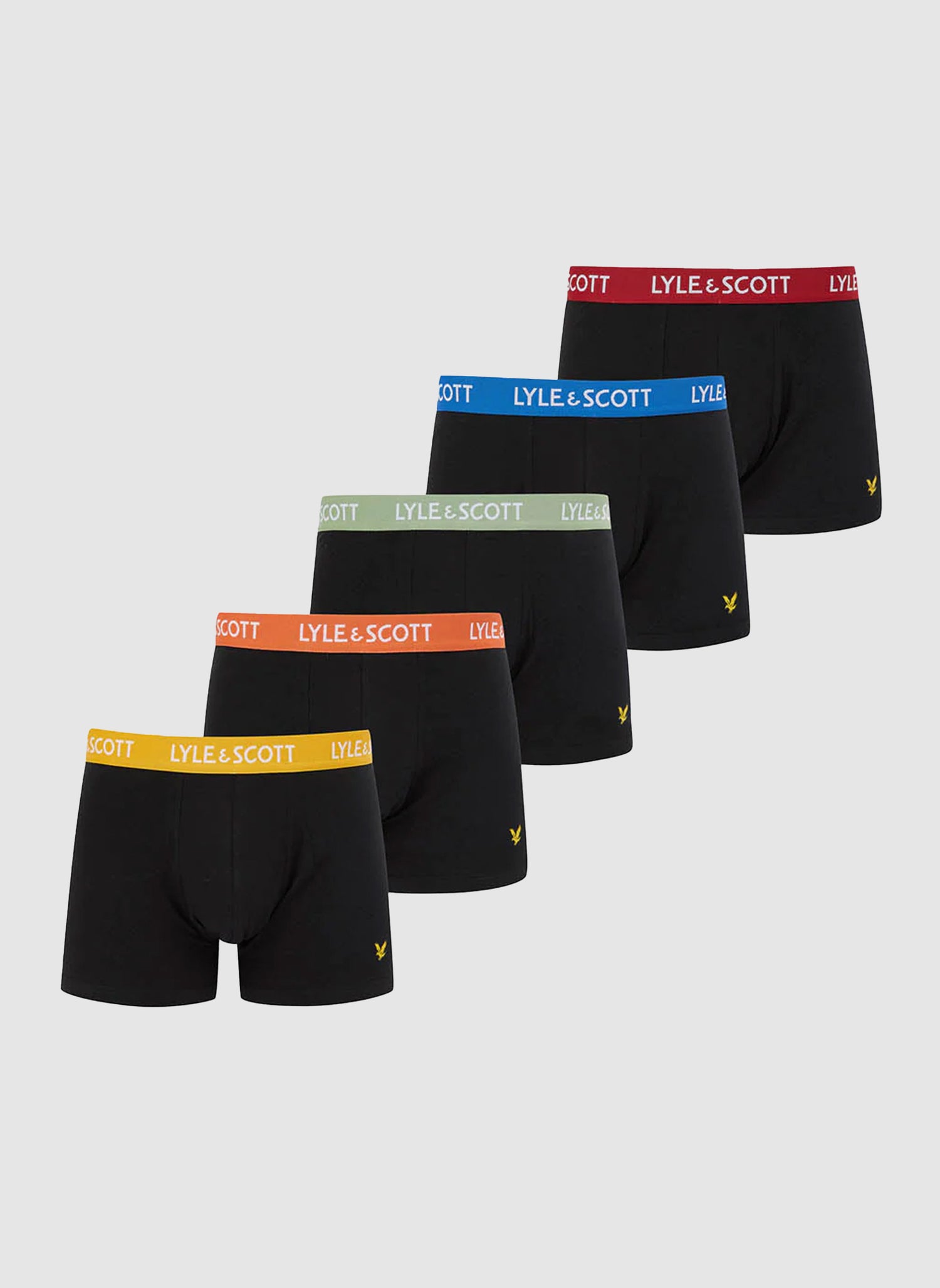Five Pack Miller Trunk - Black/Multi