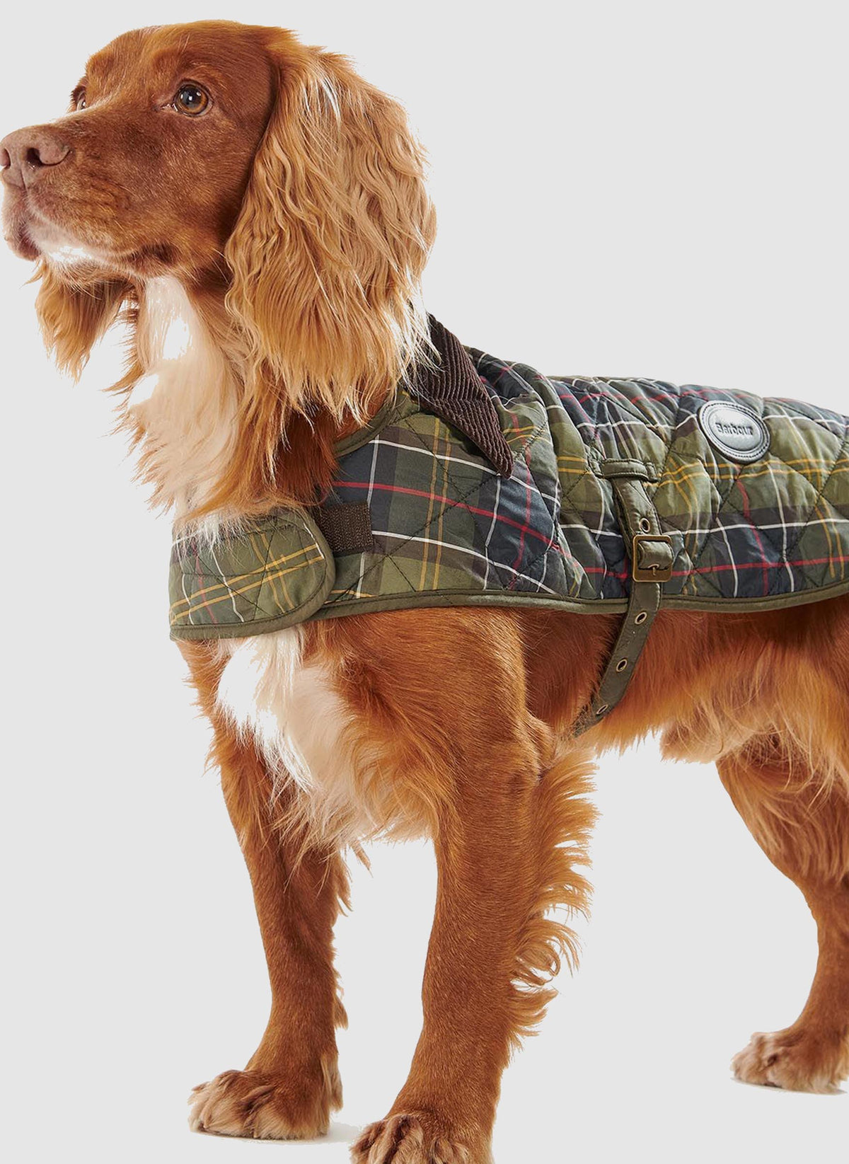 Tartan Dog Coat - Classic Tartan