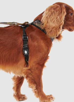 Tartan Dog Harnes - Classic Tartan