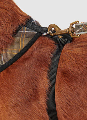 Tartan Dog Harnes - Classic Tartan
