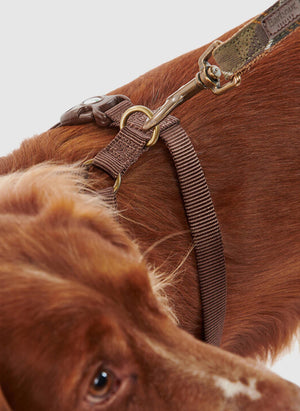 Travel and Exercise Dog Geschirr - Classic Tartan
